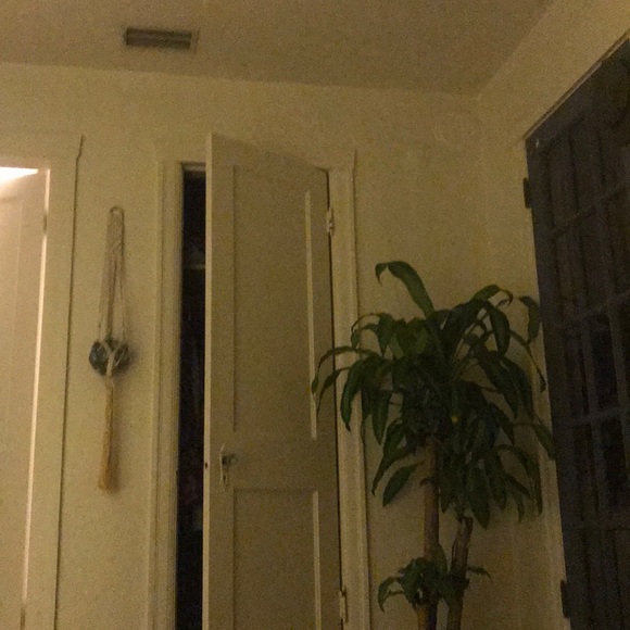 Meet your Posher, Quincy - Picture 1 of 1